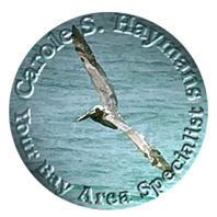 [Logo: Version 2]