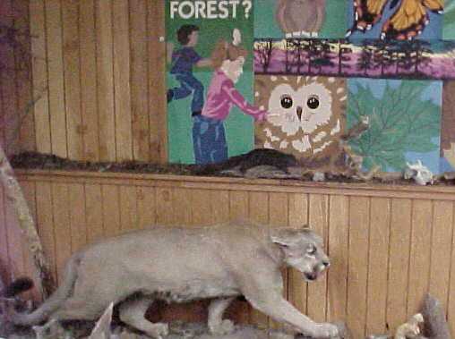 Display at The Wildlands Conservancy