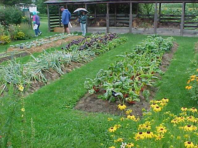 The Rodale Institute demonstration garden