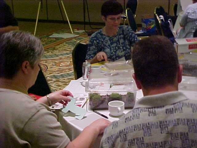 Teachers prepare a terrarium